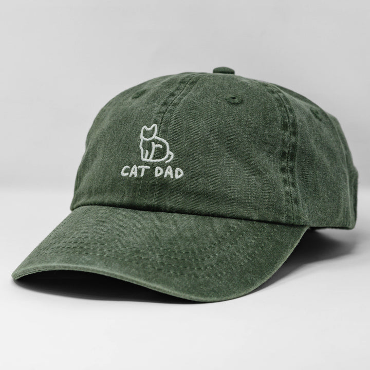 cat hat