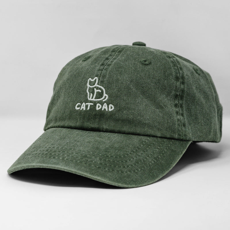 cat hat