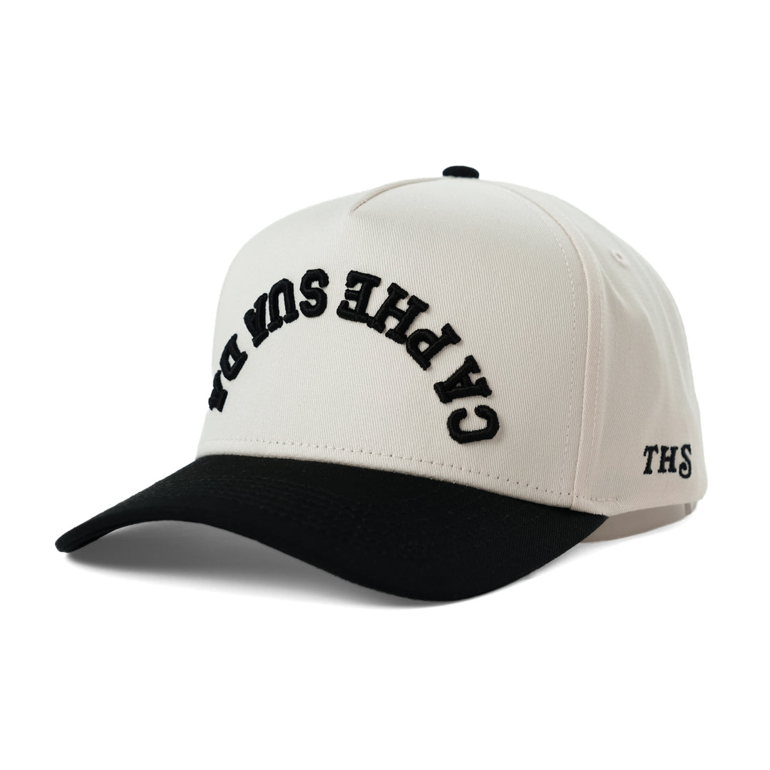 ca phe sua da vietnamese coffee upside down snapback hat