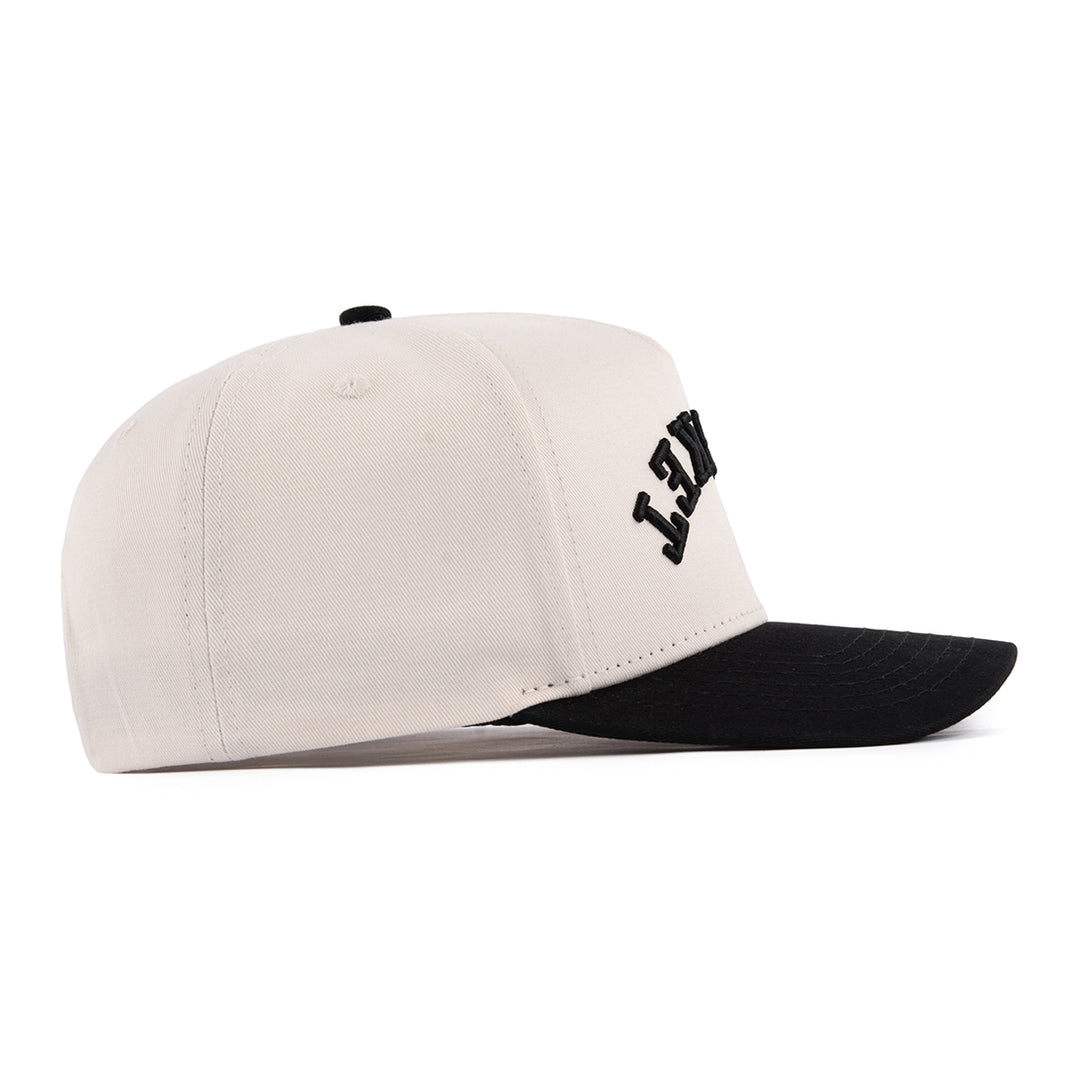 brisket upside down snapback hat from the side