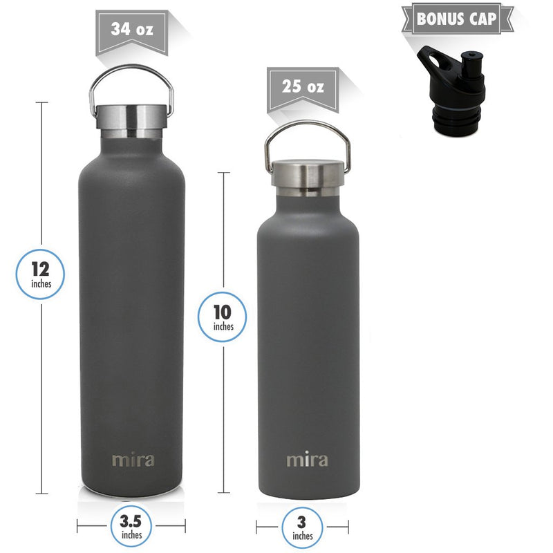 Alpine 25 oz Water Bottle (Gray)