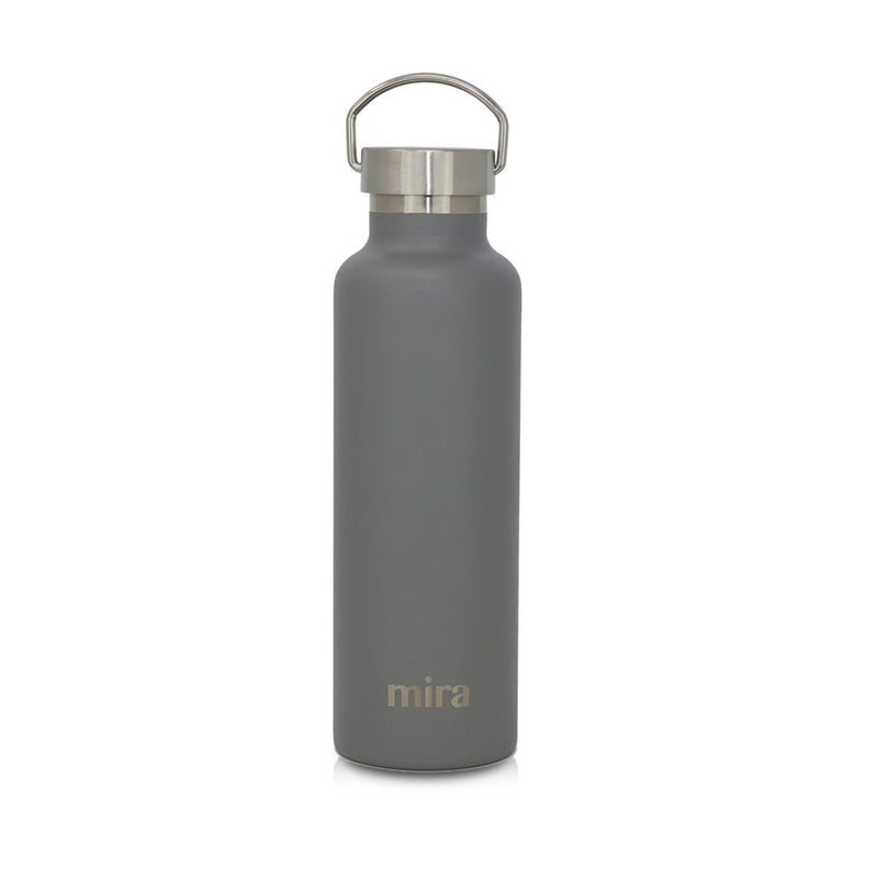 Alpine 25 oz Water Bottle (Gray)